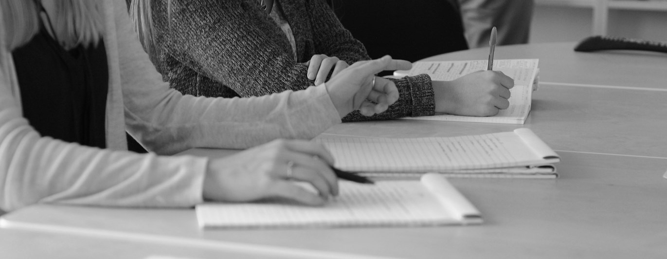 Bild som visar deltagare i möte.