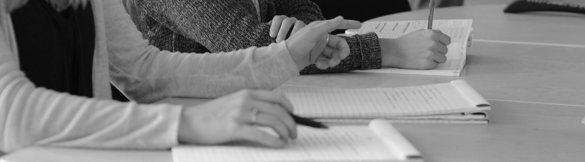 Bild som visar deltagare i möte.