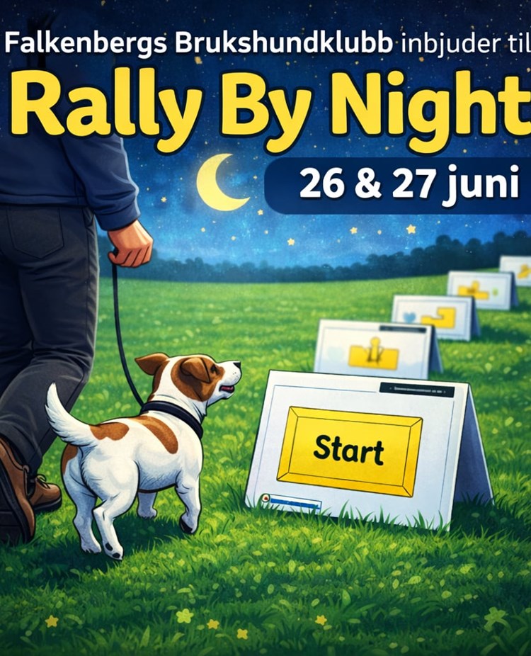 rally by night