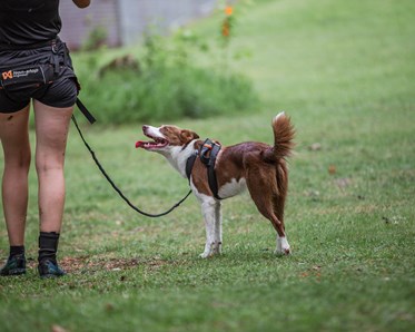 KM vinnare 2024 i Drag: Isabell Värme & Tezla