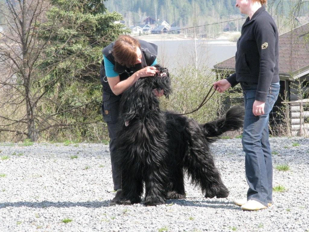 Testledare MH hantering