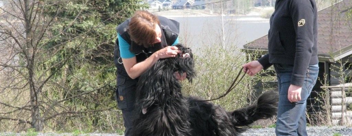 Testledare MH hantering