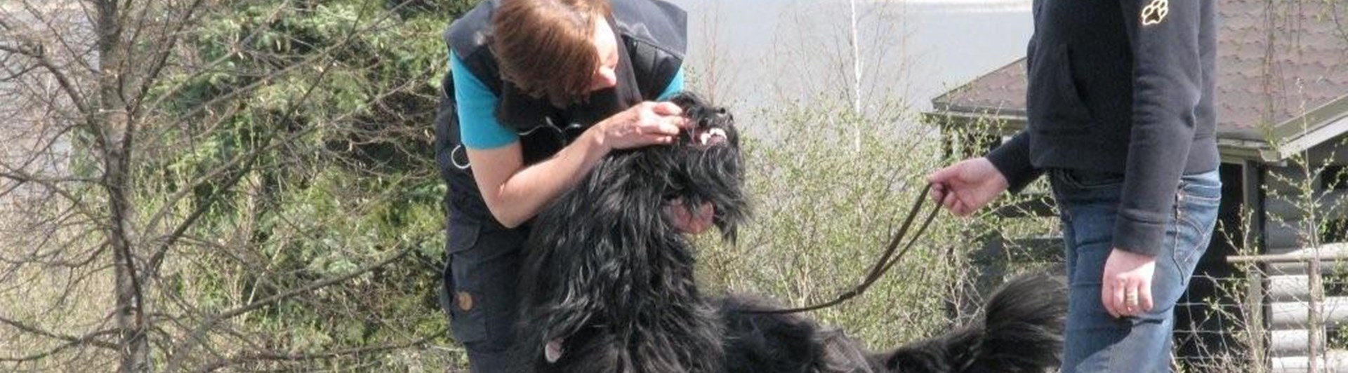 Testledare MH hantering