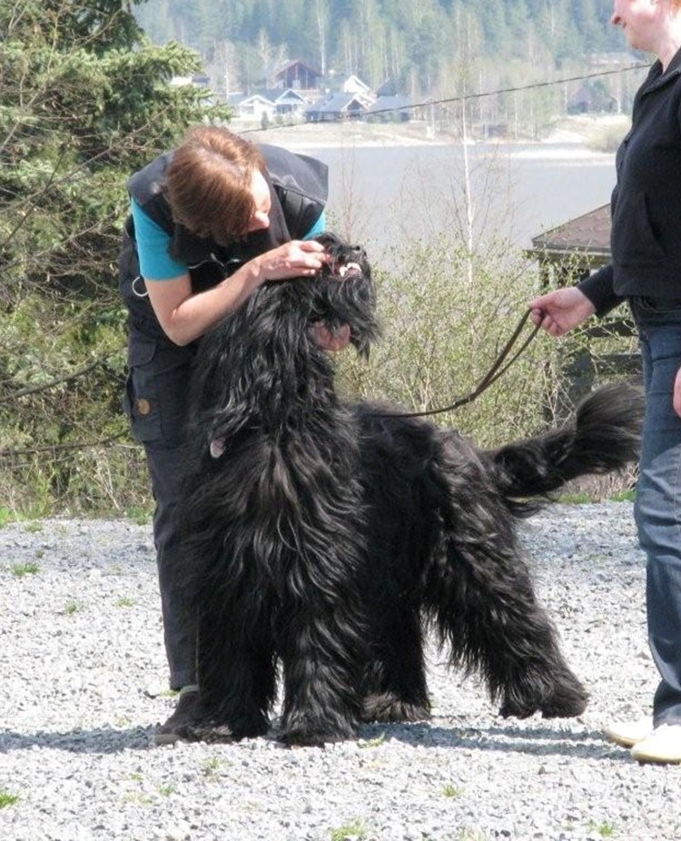 Testledare MH hantering