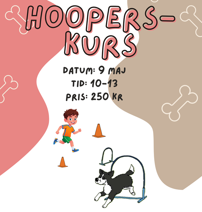 en bild med information angående hoopers kurs