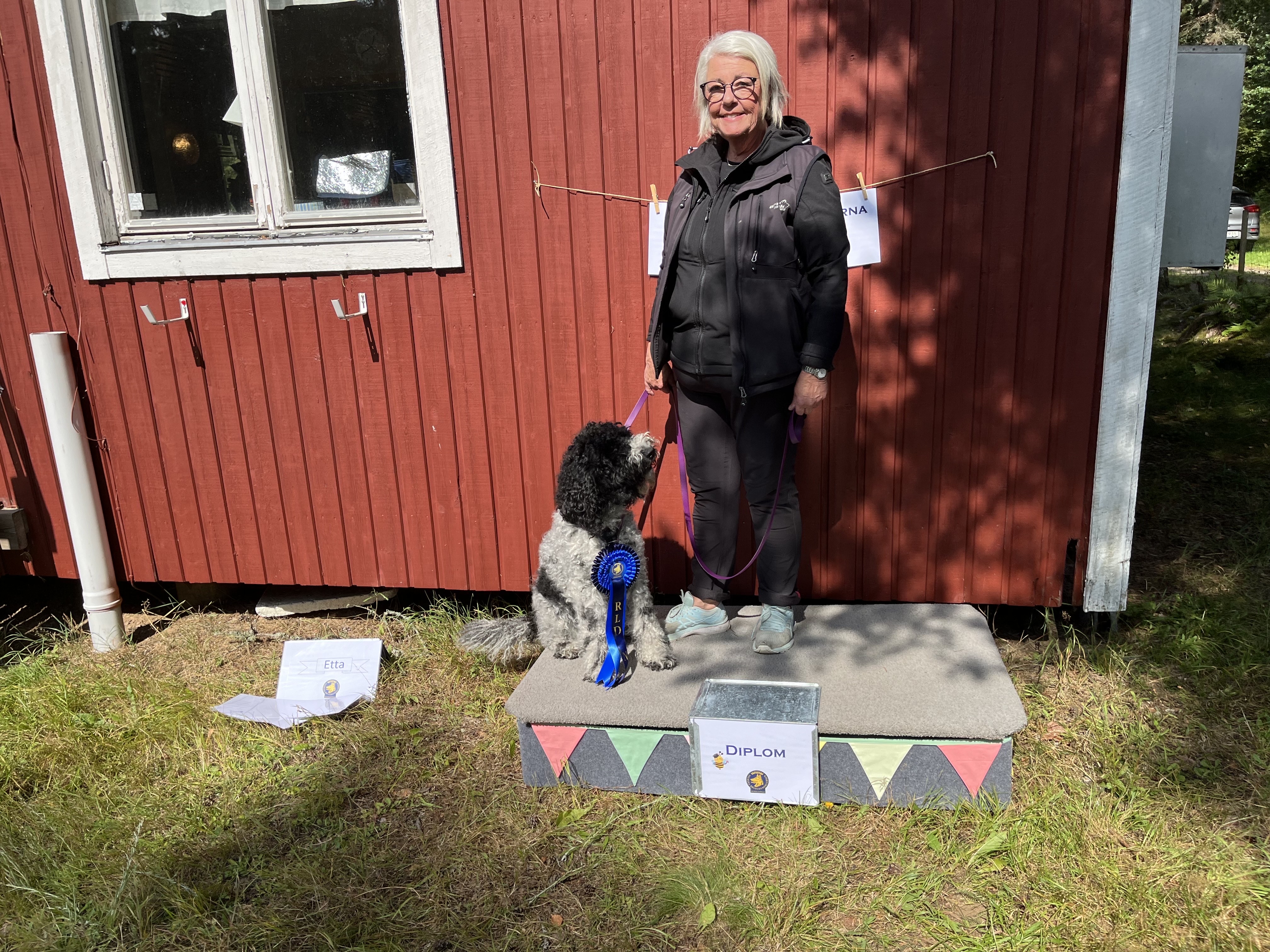 Årets Hund 2024 - Årets Kämpe Rallylydnad