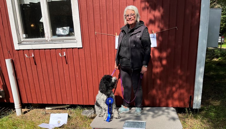 Årets Hund 2024 - Årets Kämpe Rallylydnad