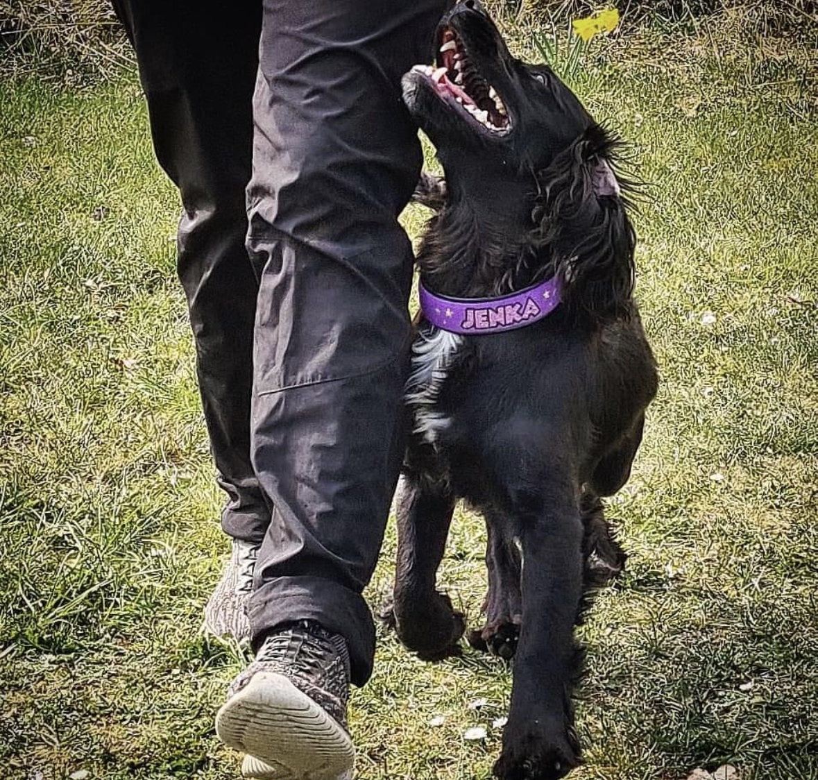 kontakt vid fotgående