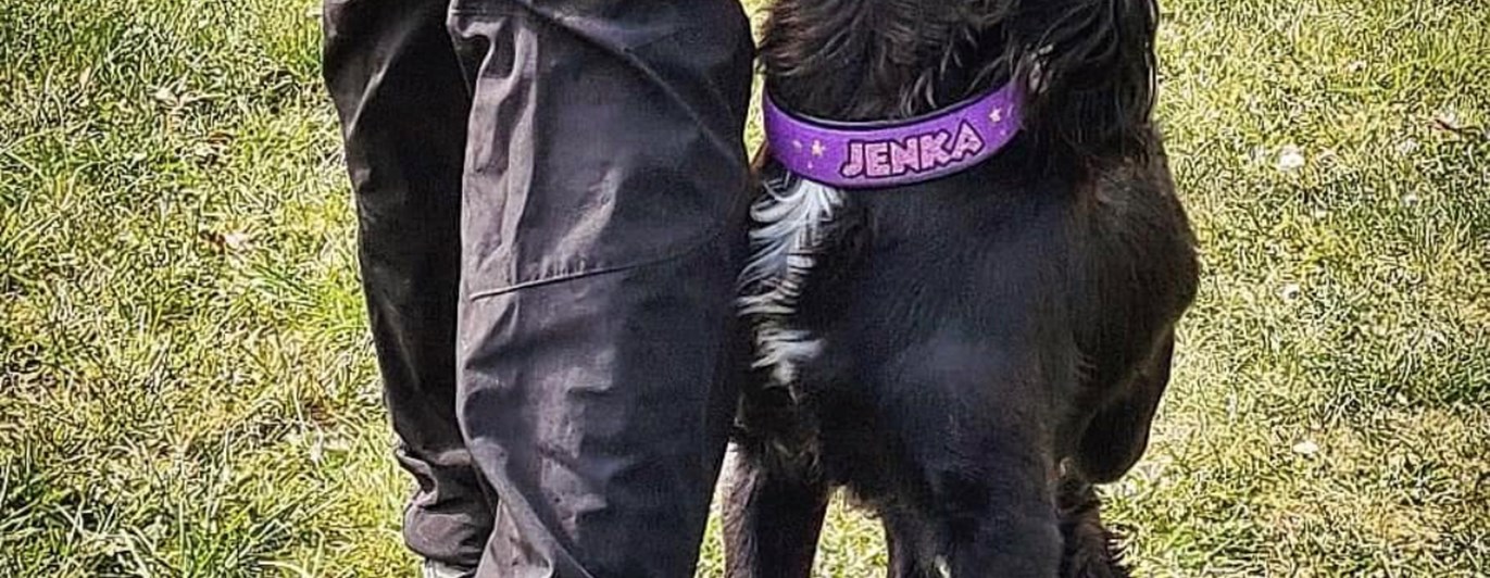 kontakt vid fotgående