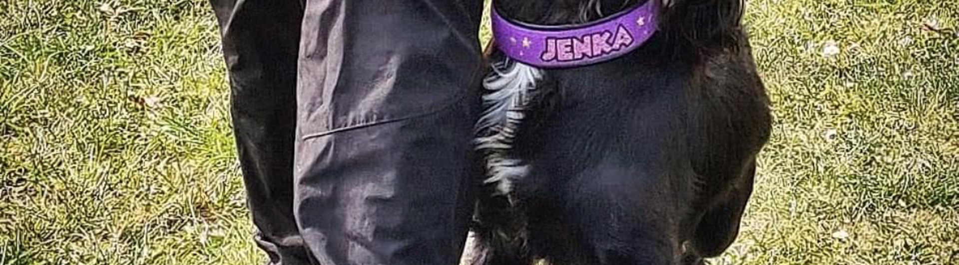 kontakt vid fotgående