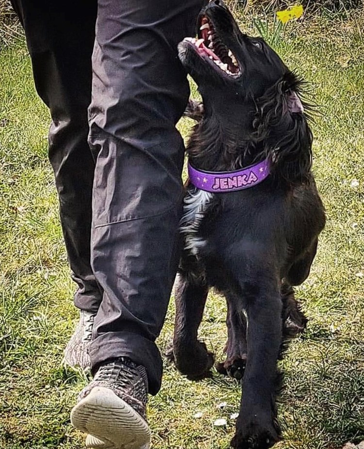 kontakt vid fotgående