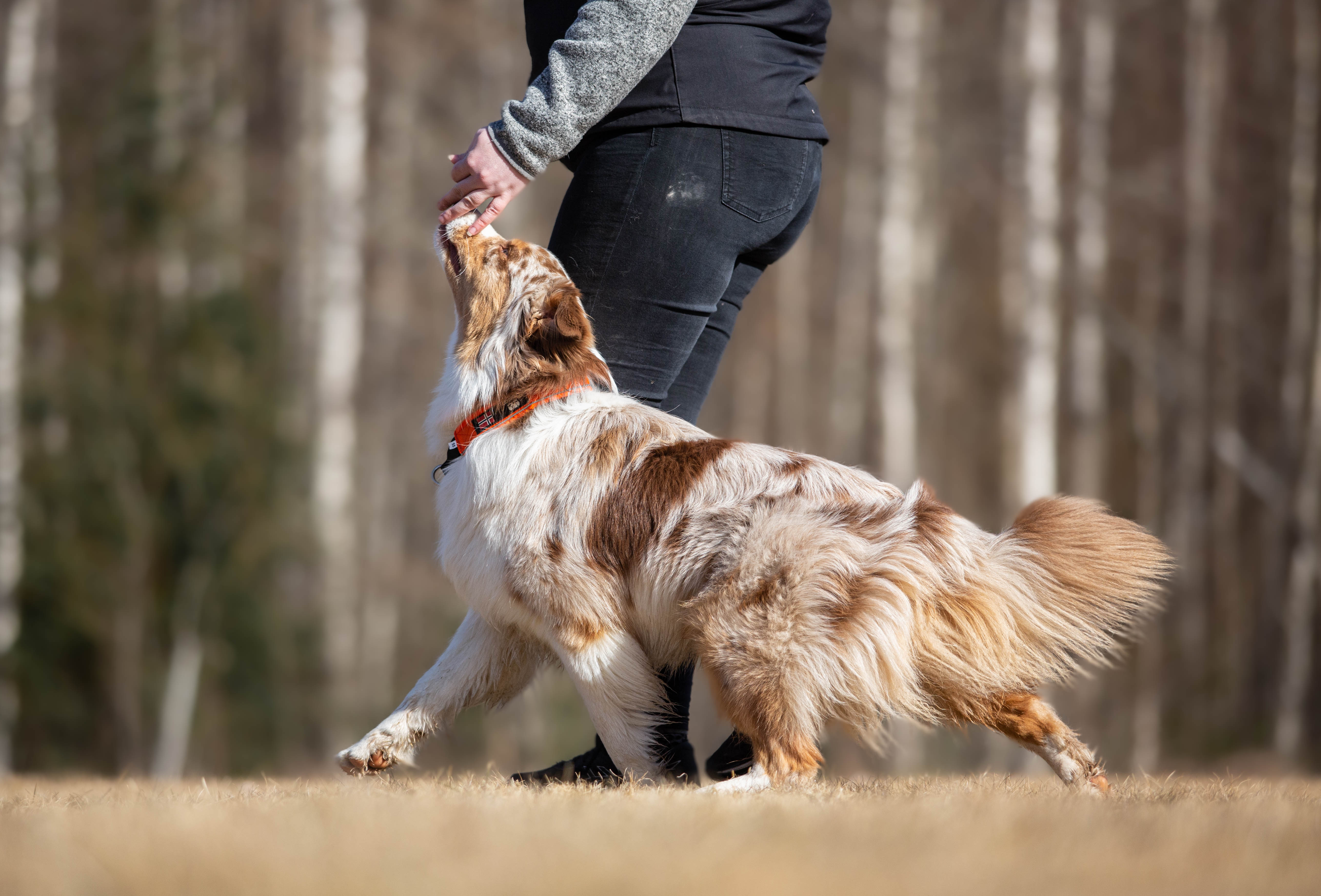 Jessica och Nexus

Bild: Alva Högkvist