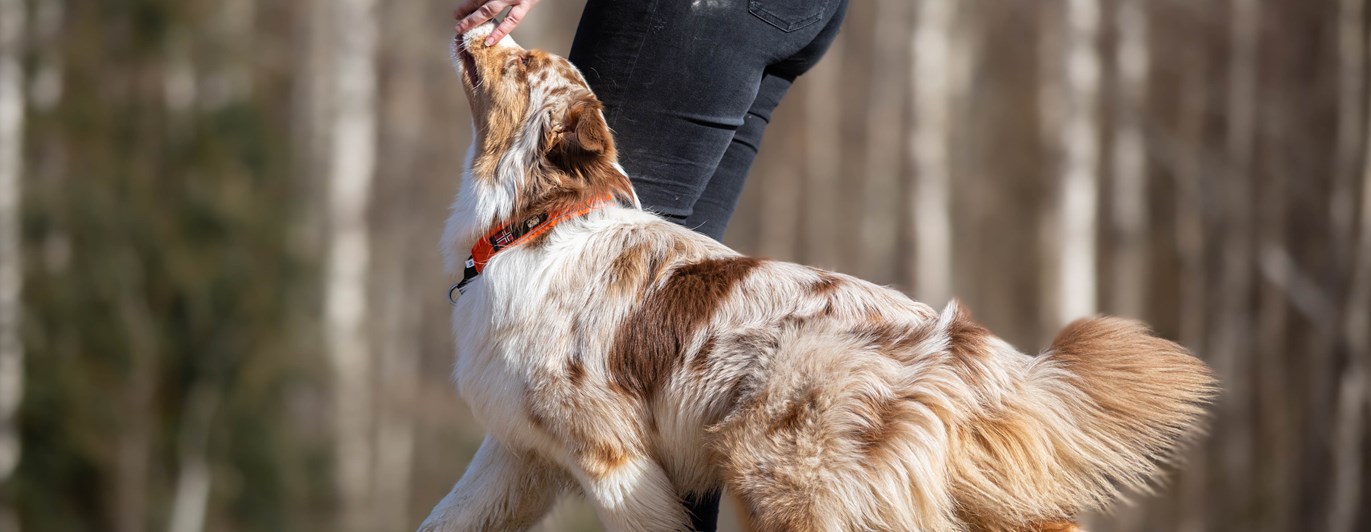 Jessica och Nexus
Bild: Alva Högkvist