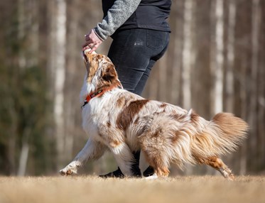 Jessica och Nexus
Bild: Alva Högkvist
