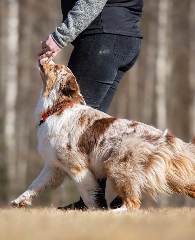 Jessica och Nexus
Bild: Alva Högkvist