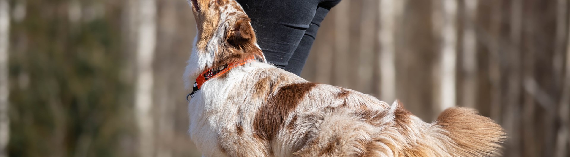 Jessica och Nexus
Bild: Alva Högkvist