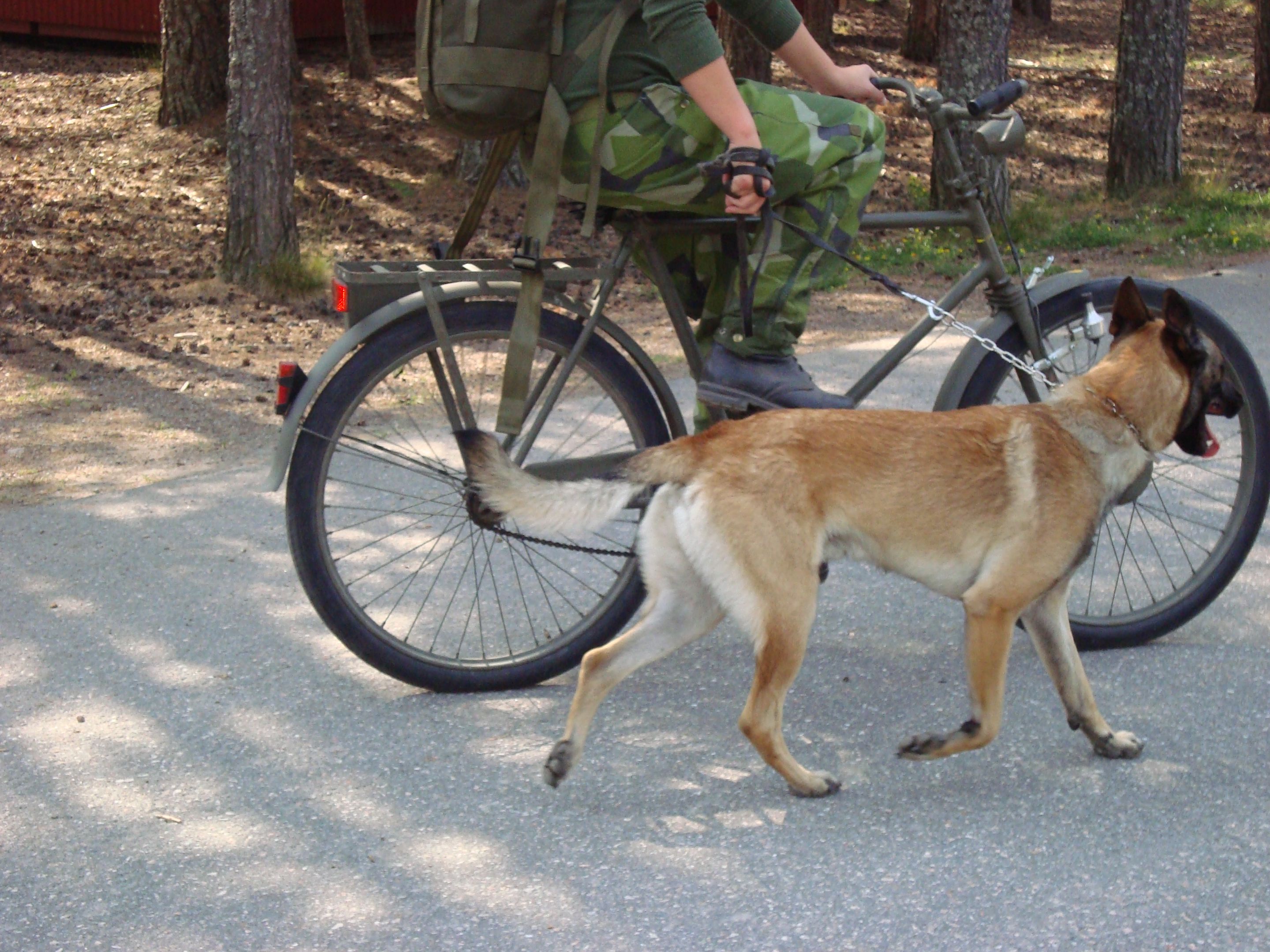 Fotograf: Elisabeth Gustavsson