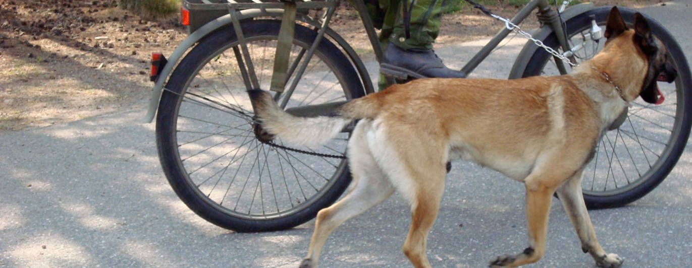 Fotograf: Elisabeth Gustavsson