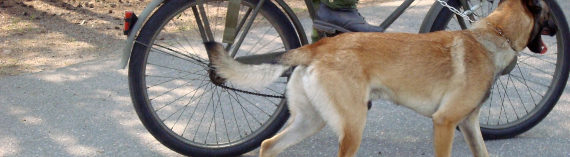 Fotograf: Elisabeth Gustavsson