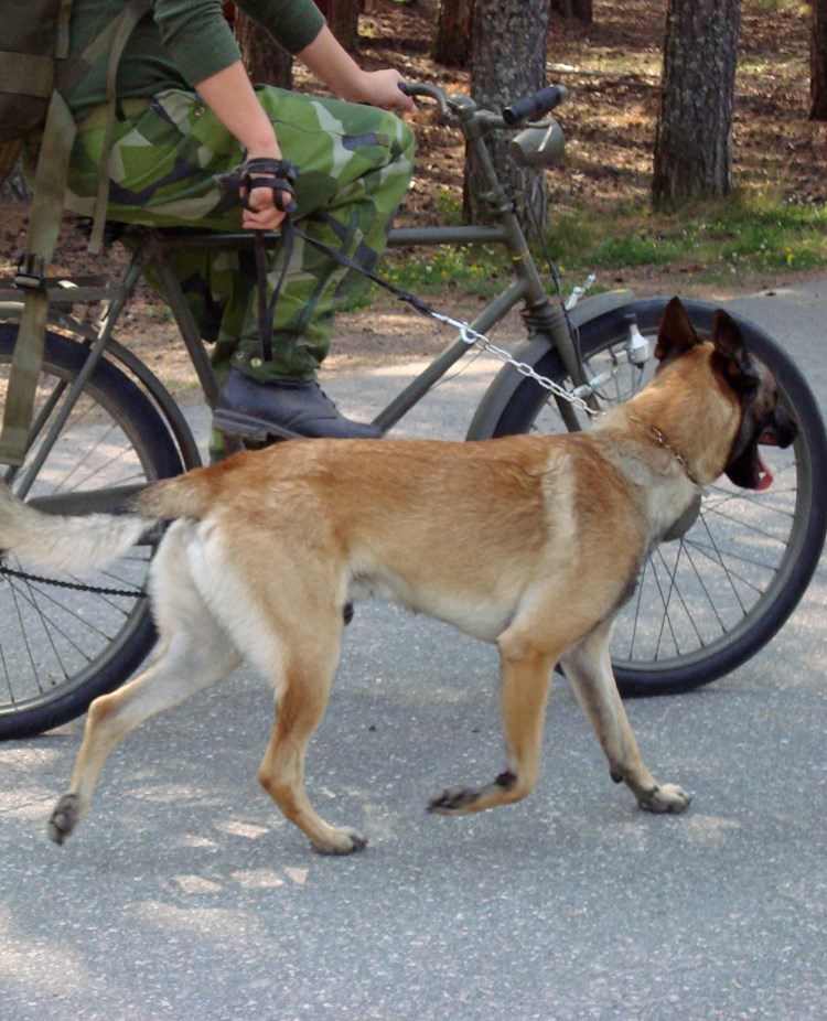 Fotograf: Elisabeth Gustavsson