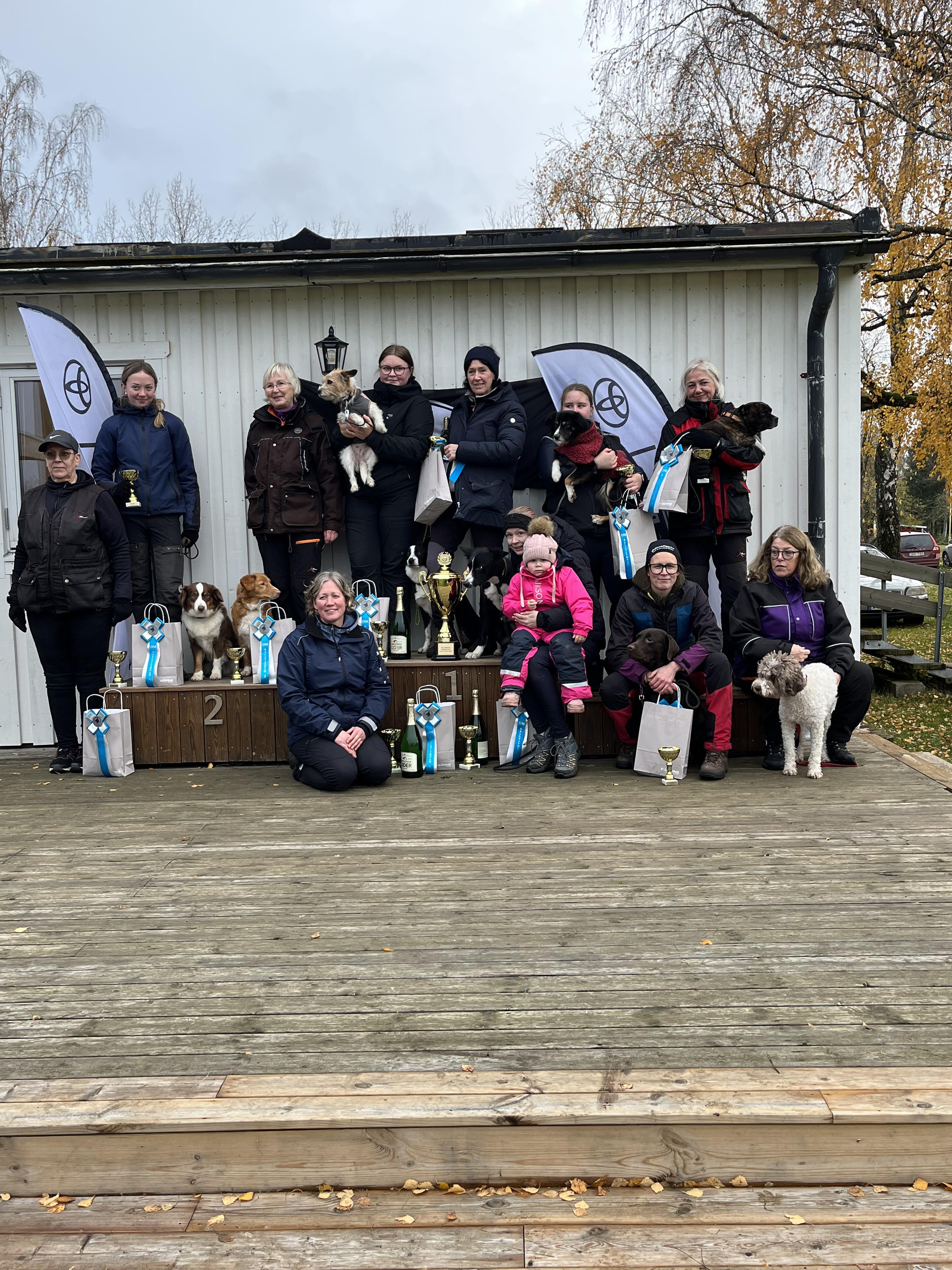 resultat för Rallylydnad DM