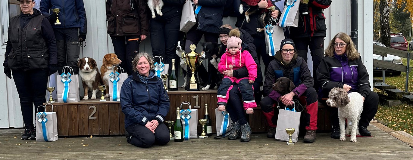 resultat för Rallylydnad DM