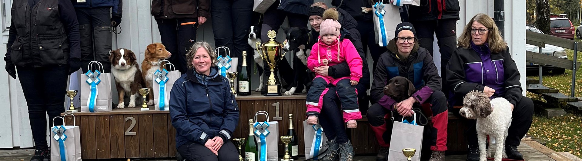 resultat för Rallylydnad DM