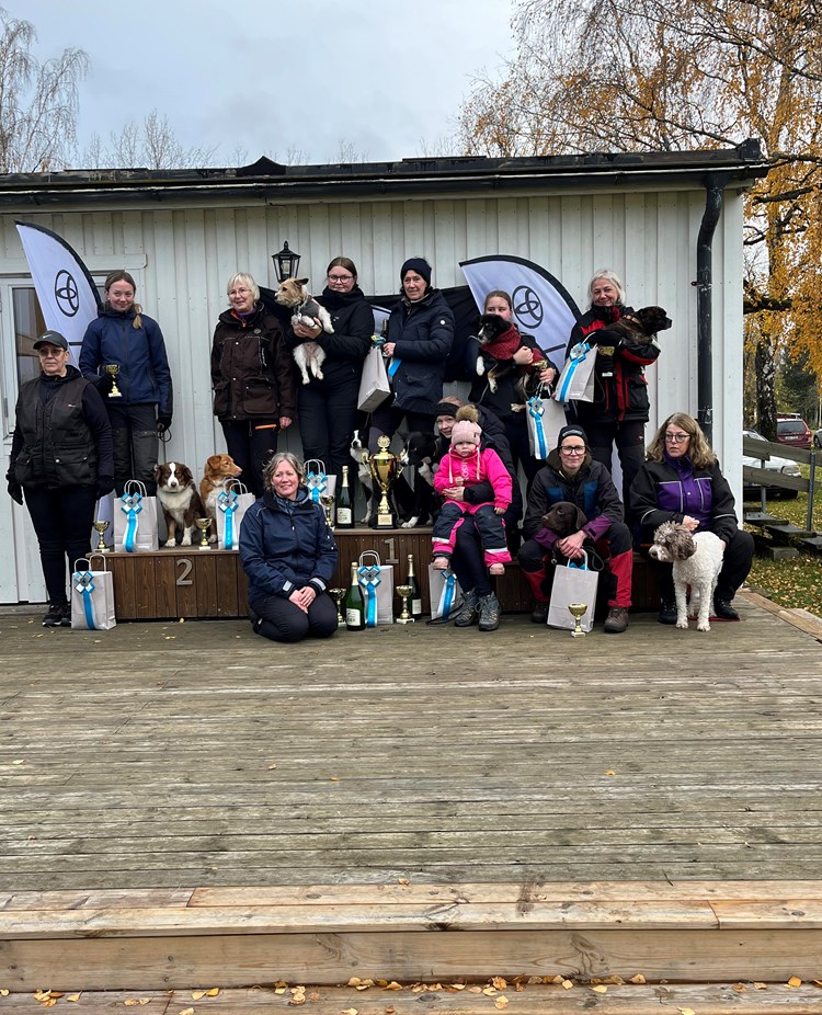 resultat för Rallylydnad DM