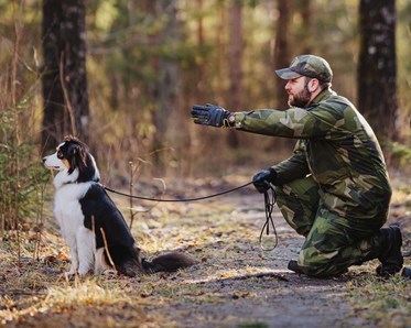 Patrullhund australian shepherd