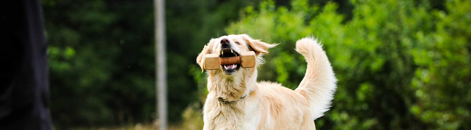 Foto: Julia Indergard