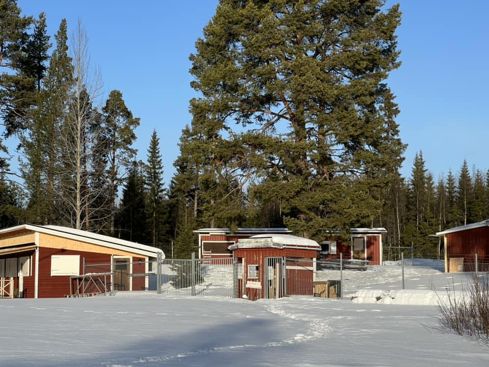 Vinterbild på klubbområdet.