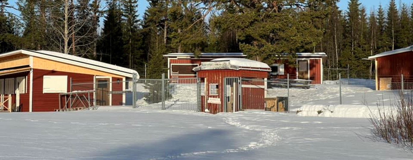 Vinterbild på klubbområdet.