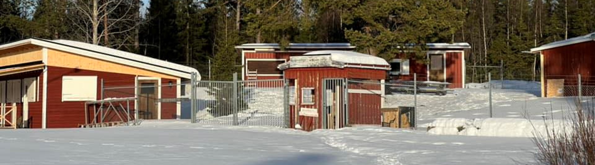 Vinterbild på klubbområdet.