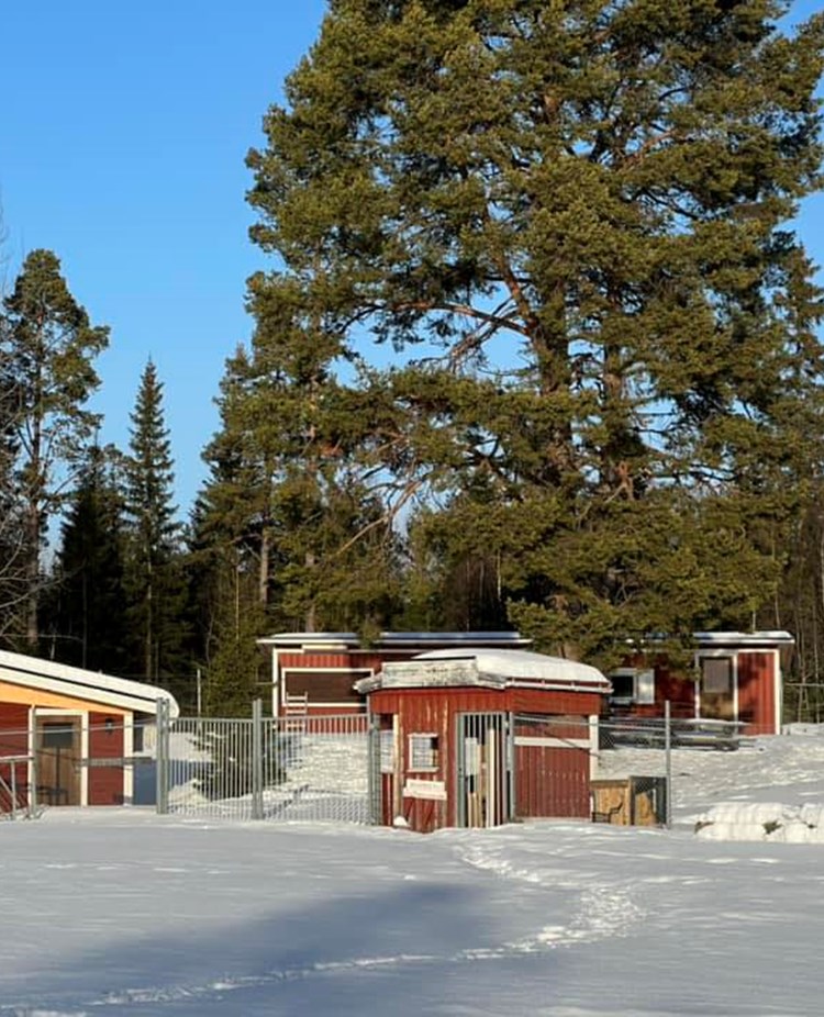 Vinterbild på klubbområdet.