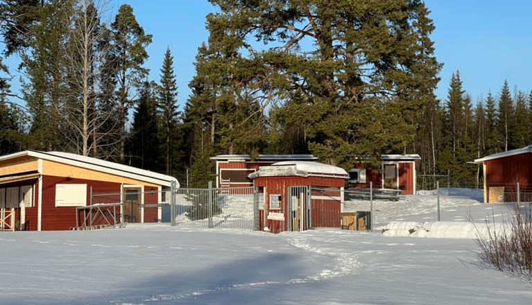 Vinterbild på klubbområdet.