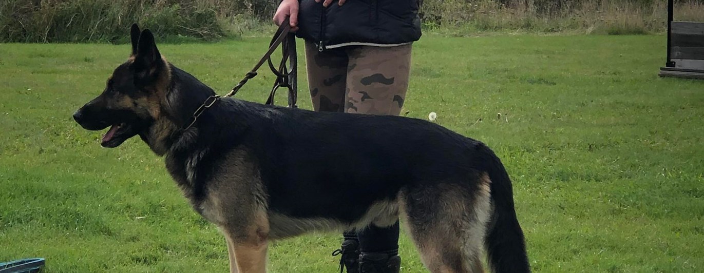 Förare med sin hund