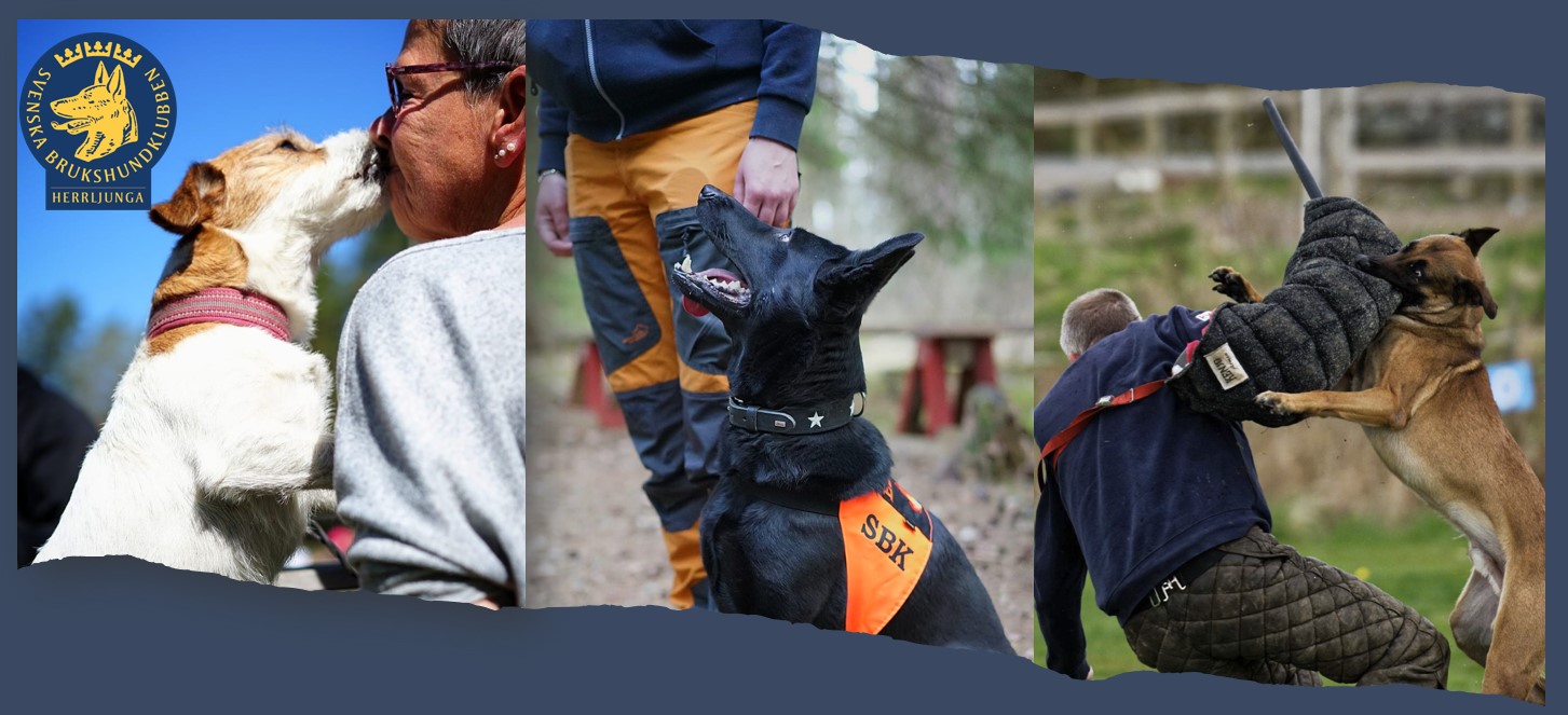 Herrljunga Brukshundklubb