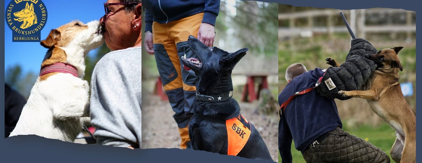 Herrljunga Brukshundklubb