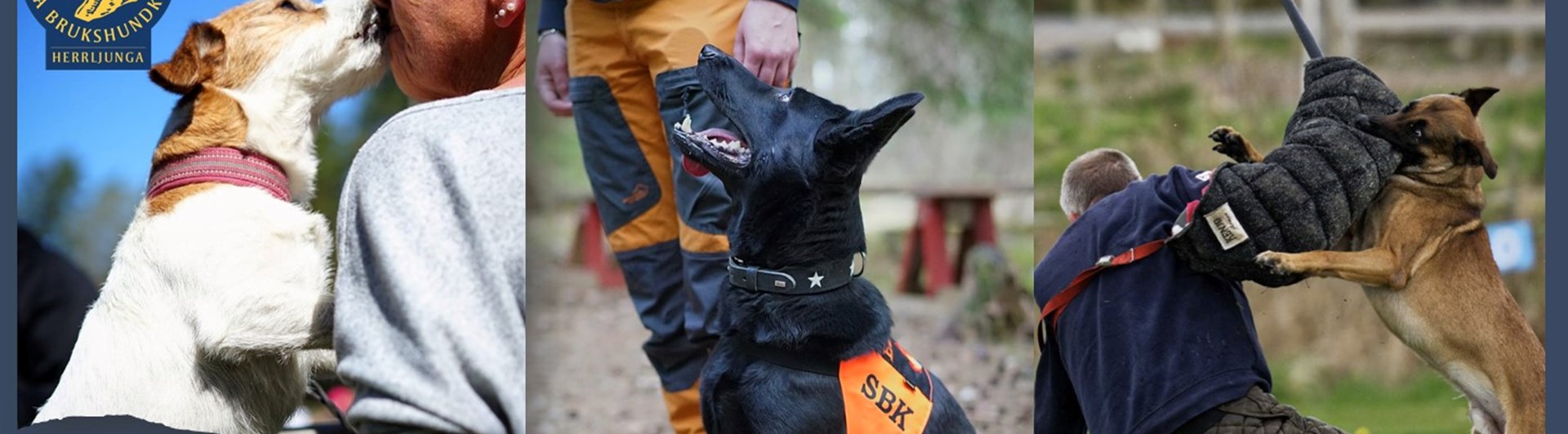 Herrljunga Brukshundklubb