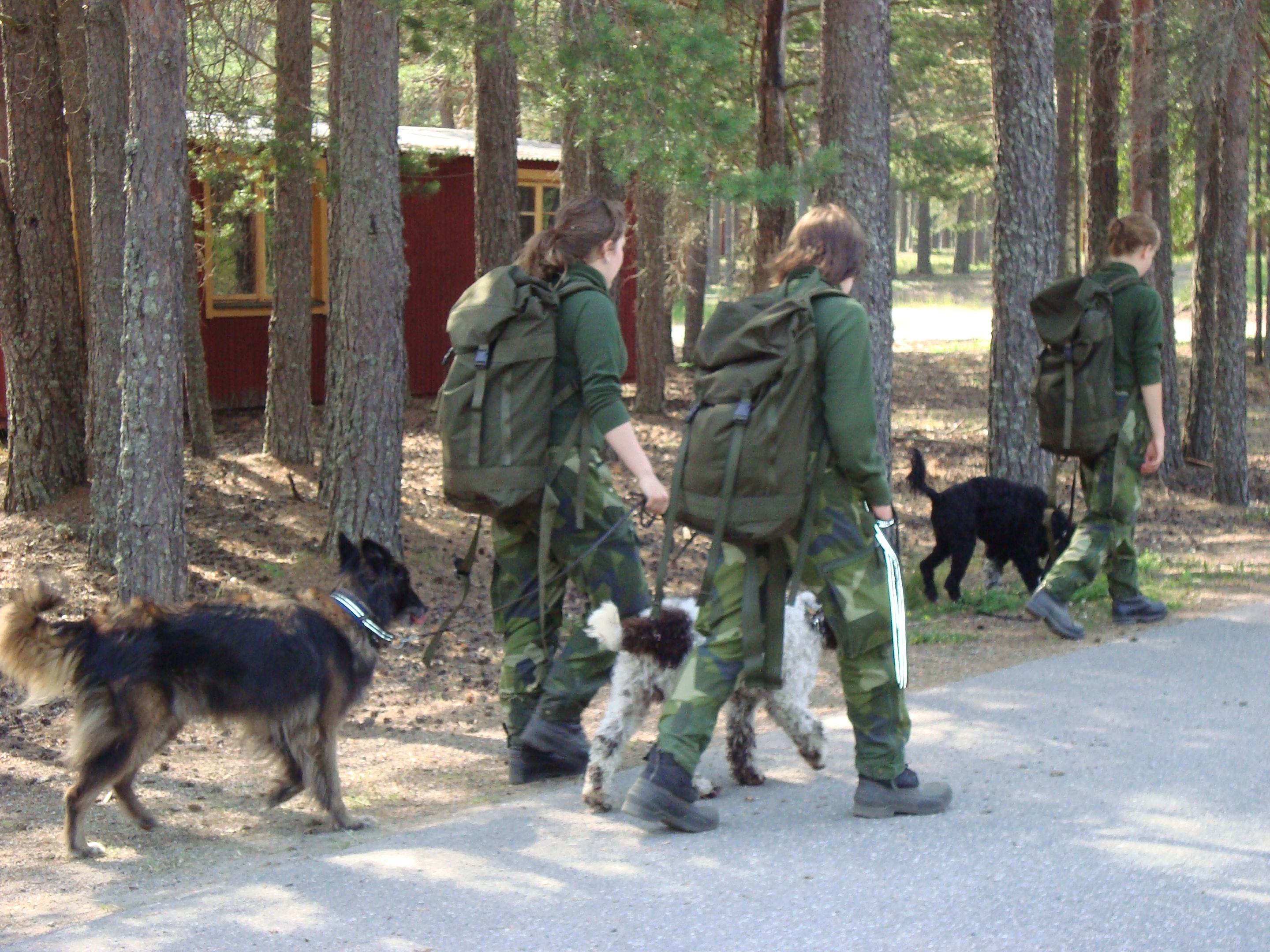 Fotograf: Elisabeth Gustavsson