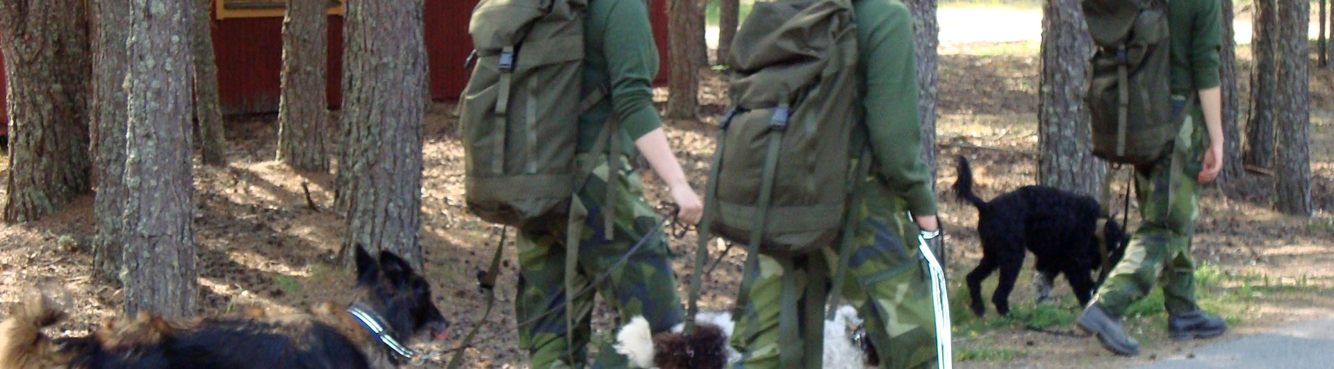 Fotograf: Elisabeth Gustavsson