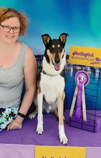 Sammankallande AG Organisation