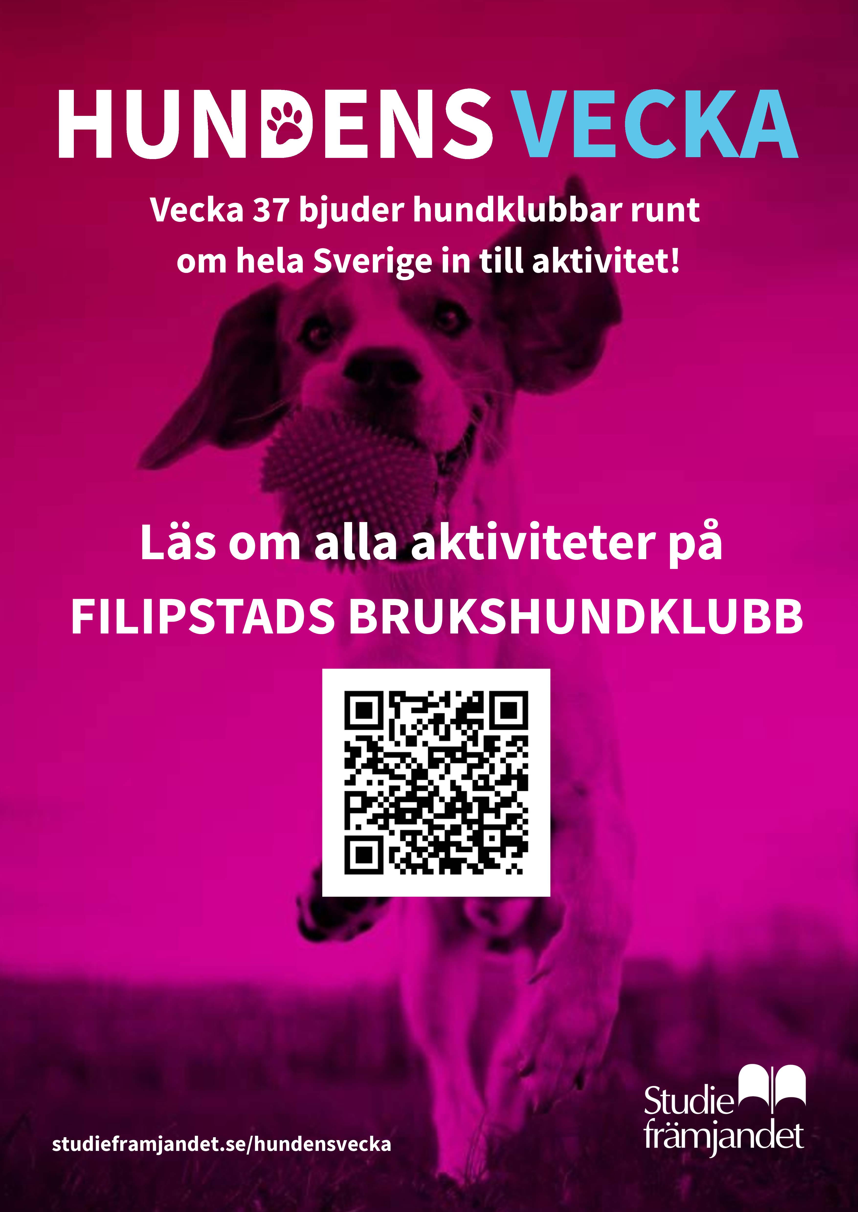 Information om Hundens vecka 2026