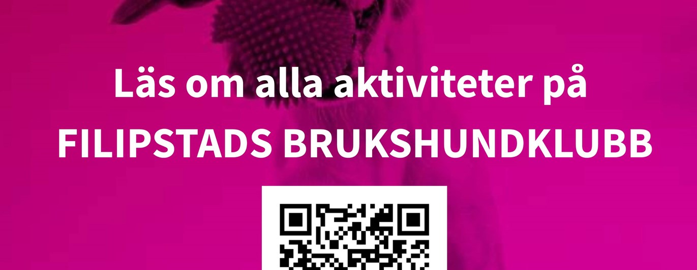 Information om Hundens vecka 2026