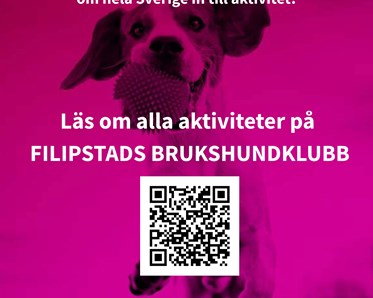 Information om Hundens vecka 2026