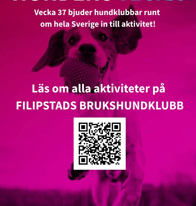 Information om Hundens vecka 2026