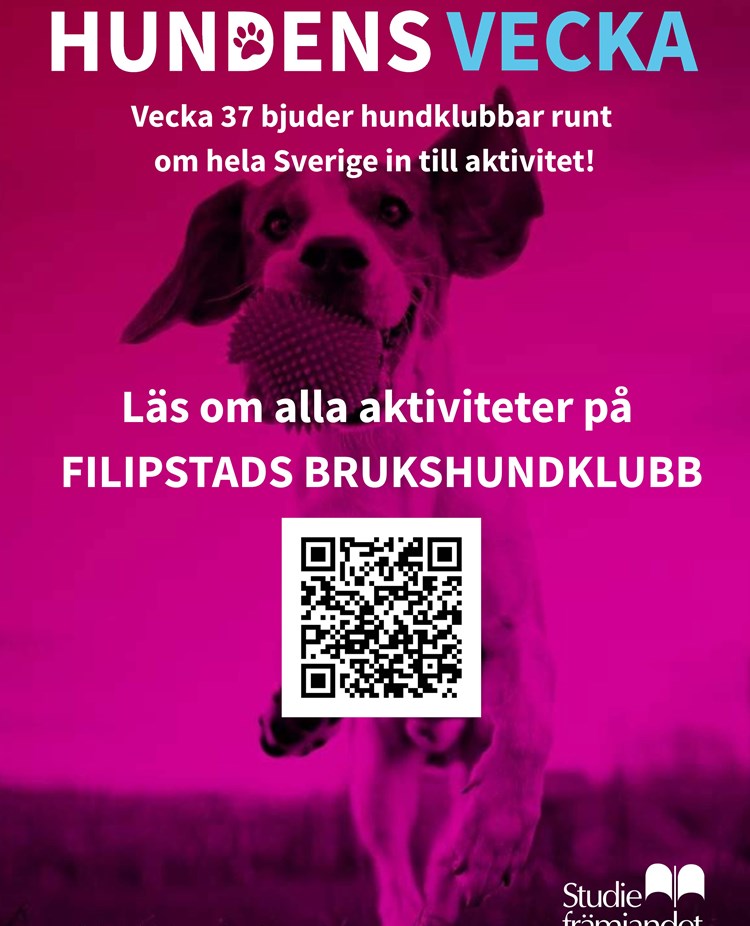 Information om Hundens vecka 2026