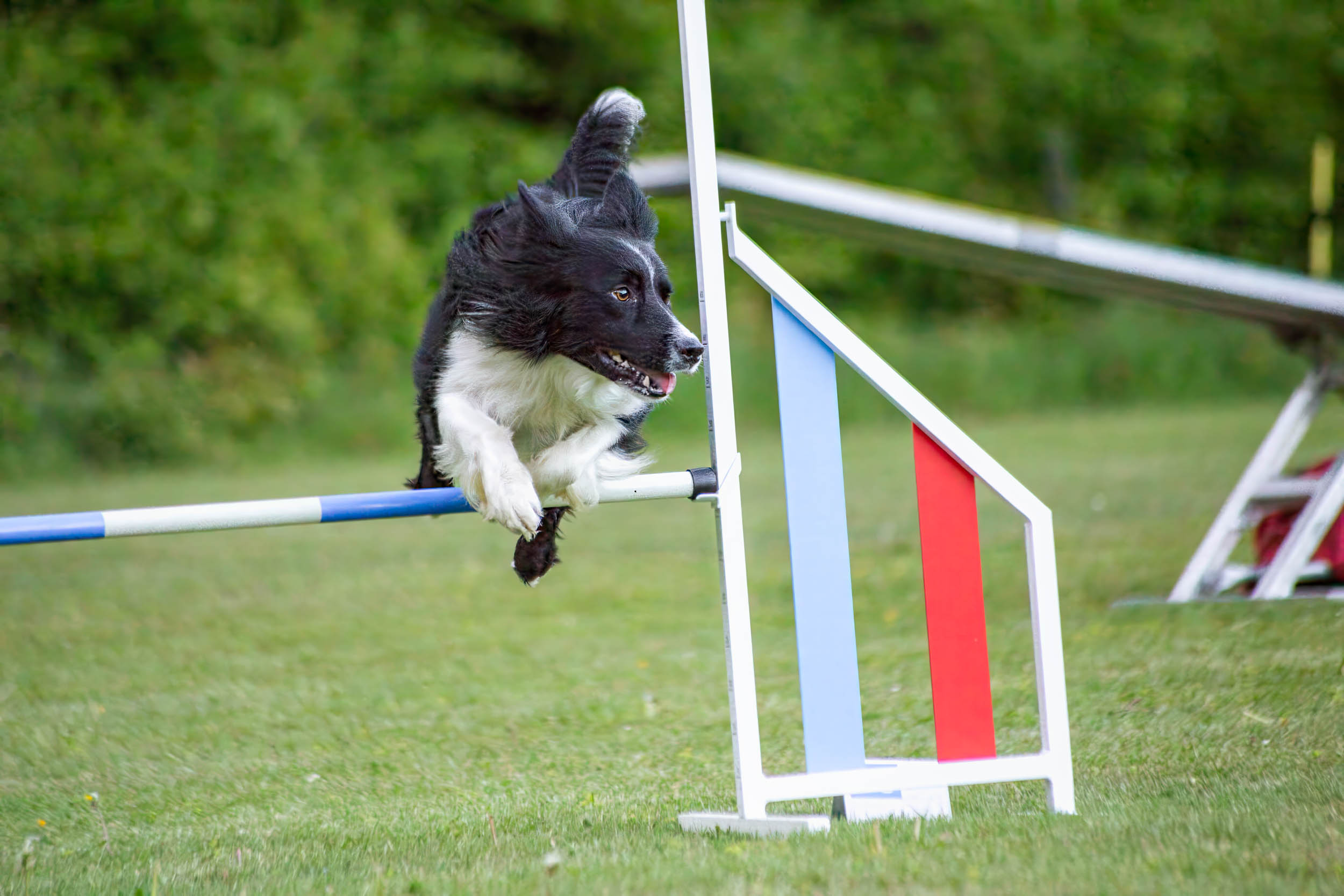 Agility