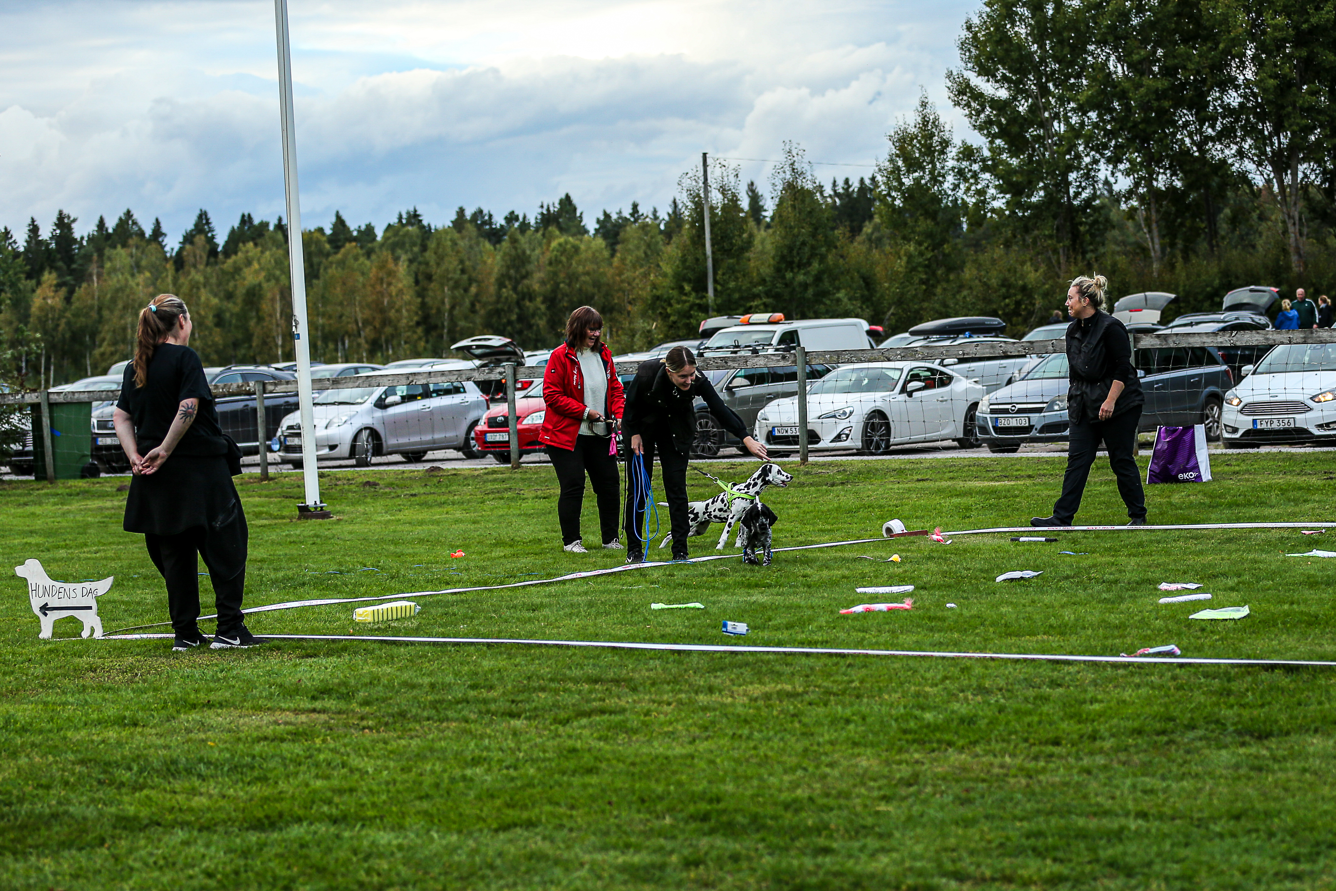 Här får hundarna hämta grejer som är utlagda i en fyrkant. Det de hämtar får de.