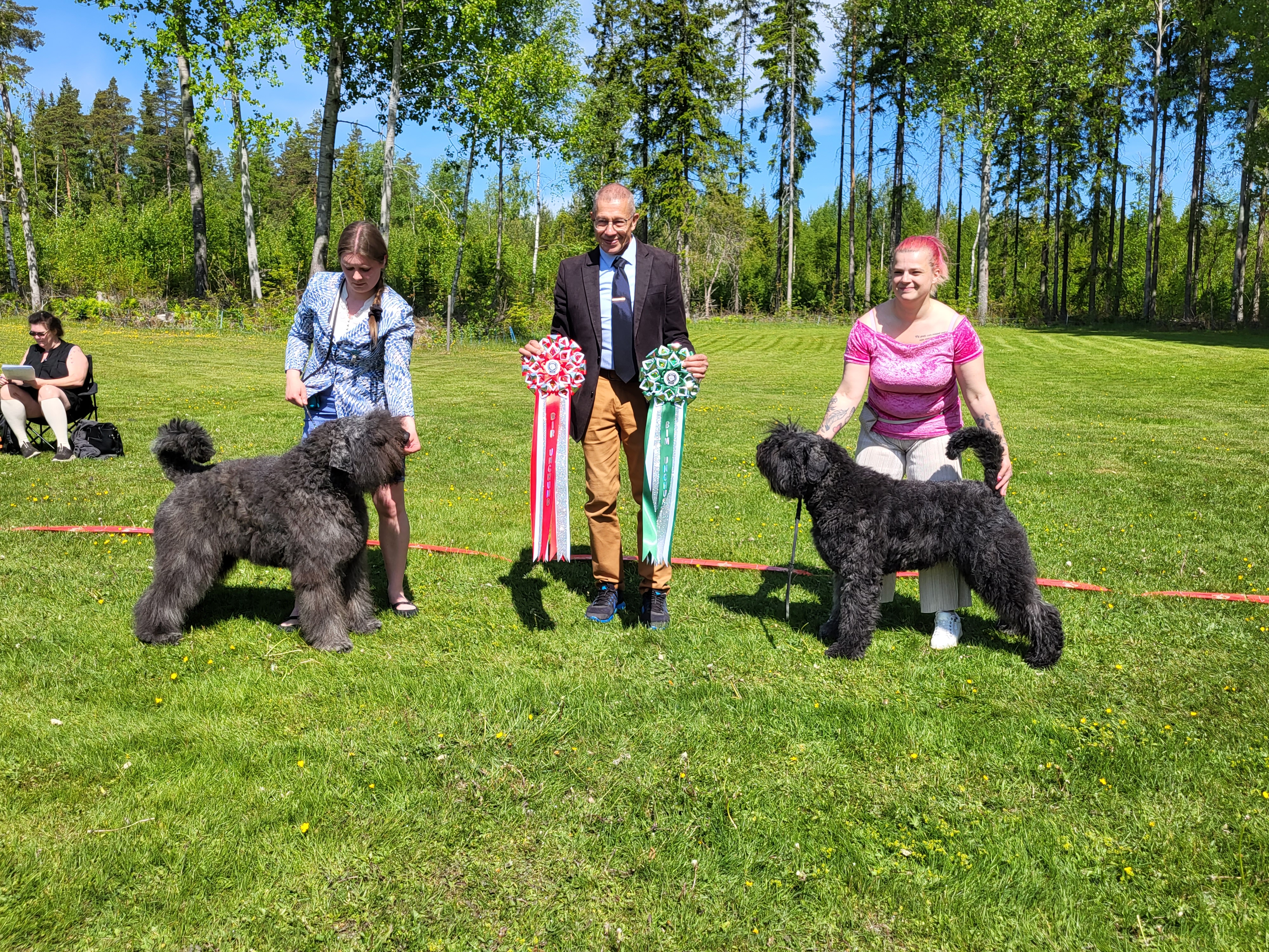 Två bouvier des flandres med förare på utställning som står uppställda med domare i mitten